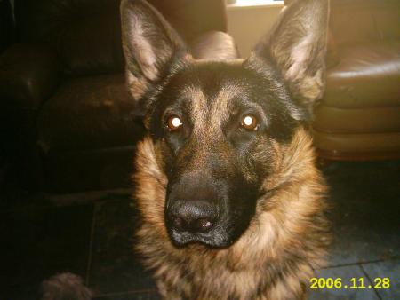 jack
