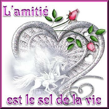 amitié sincère...