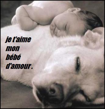 je t'aime